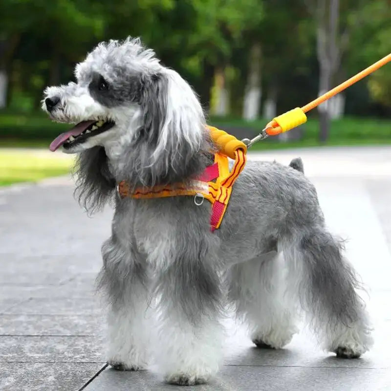 Polyester T-Style Dog Harness and Leash Set with Handle