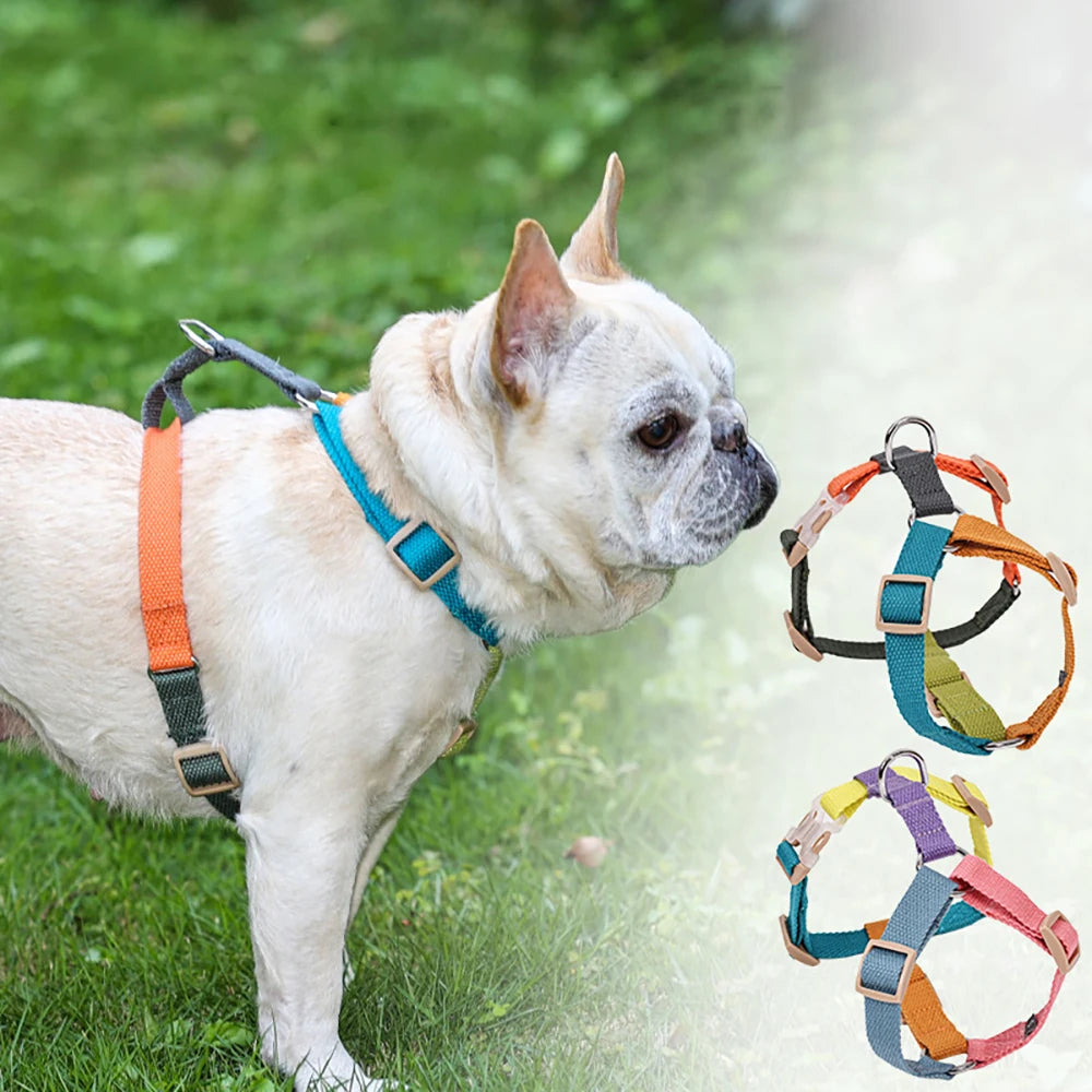 Adjustable Cotton H-Style Dog Harness with Quick-Release Buckle