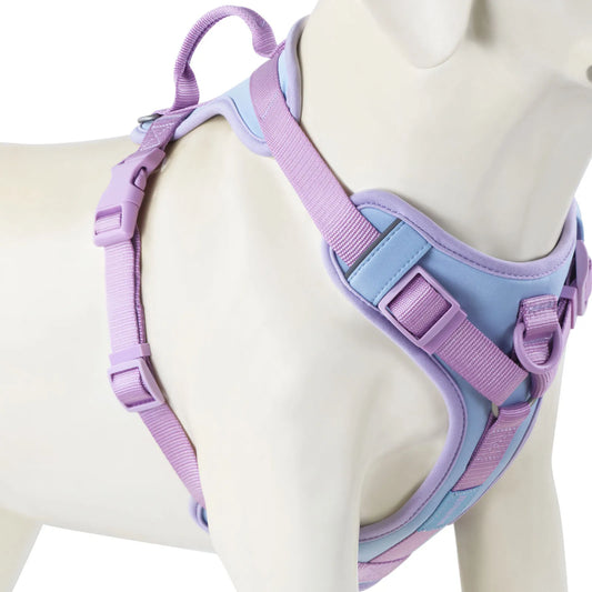 Padded Polyester-Blend Dog Harness with Handle and Quick-Release Buckles