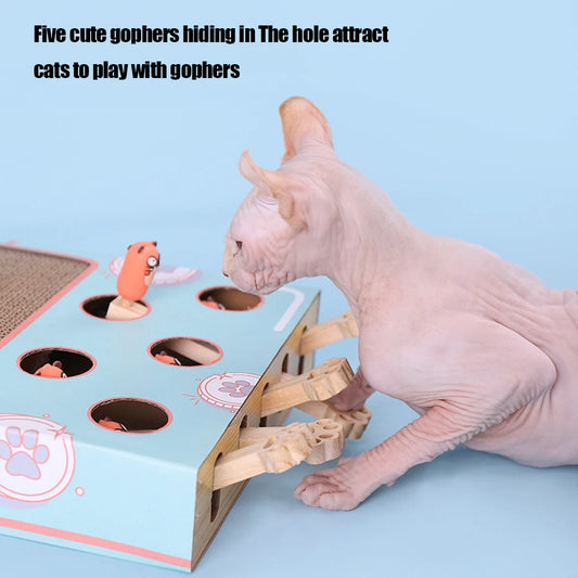 Cat Hit Gophers Cat Toy Chase Hunt Mouse Cat Game Box 3 in 1 With Scratcher Maze Interactive Educational Funny Cat Stick