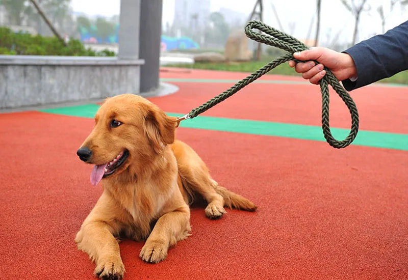 Nylon Dog Harness Leash For Medium Large Dogs Leads Pet Training Running Walking Safety Mountain Climb Dog Leashes Ropes supply
