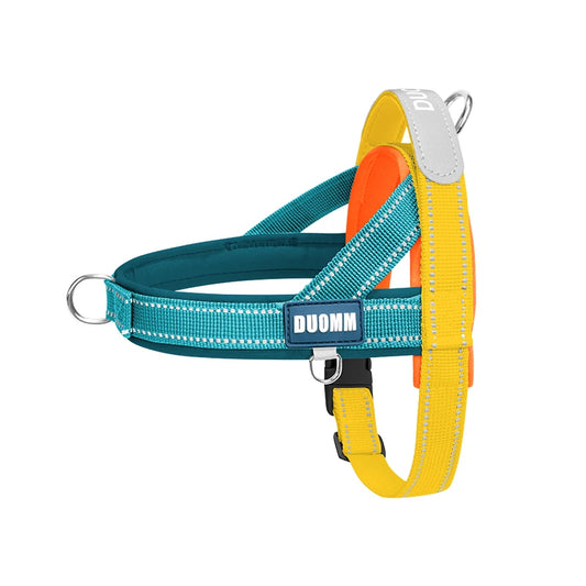 Padded T-Style Dog Harness with Adjustable Strap and Buckle