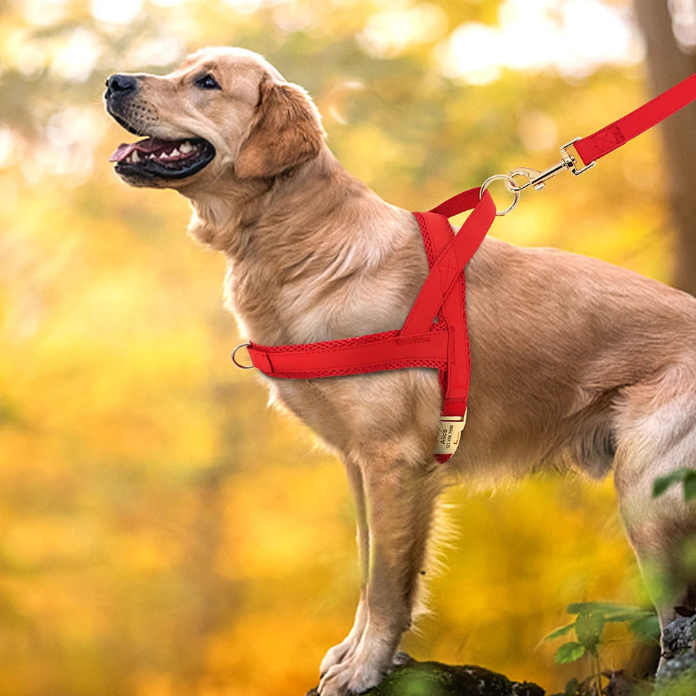 Personalized Nylon Dog Harness No Pull Pet Dog Harness Vest Free Engraved For Medium Large Dogs Walking Training Pet Supplies