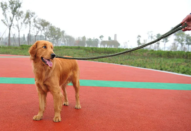 Nylon Dog Harness Leash For Medium Large Dogs Leads Pet Training Running Walking Safety Mountain Climb Dog Leashes Ropes supply