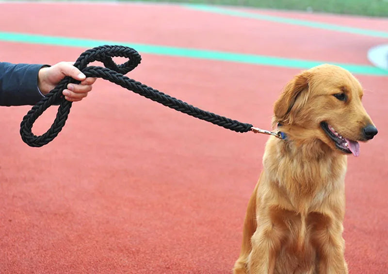 Nylon Dog Harness Leash For Medium Large Dogs Leads Pet Training Running Walking Safety Mountain Climb Dog Leashes Ropes supply