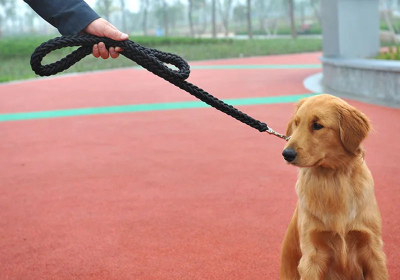 Nylon Dog Harness Leash For Medium Large Dogs Leads Pet Training Running Walking Safety Mountain Climb Dog Leashes Ropes supply