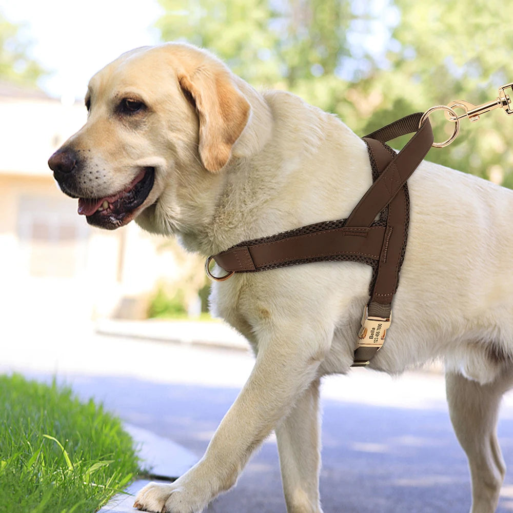Personalized Nylon Dog Harness No Pull Pet Dog Harness Vest Free Engraved For Medium Large Dogs Walking Training Pet Supplies