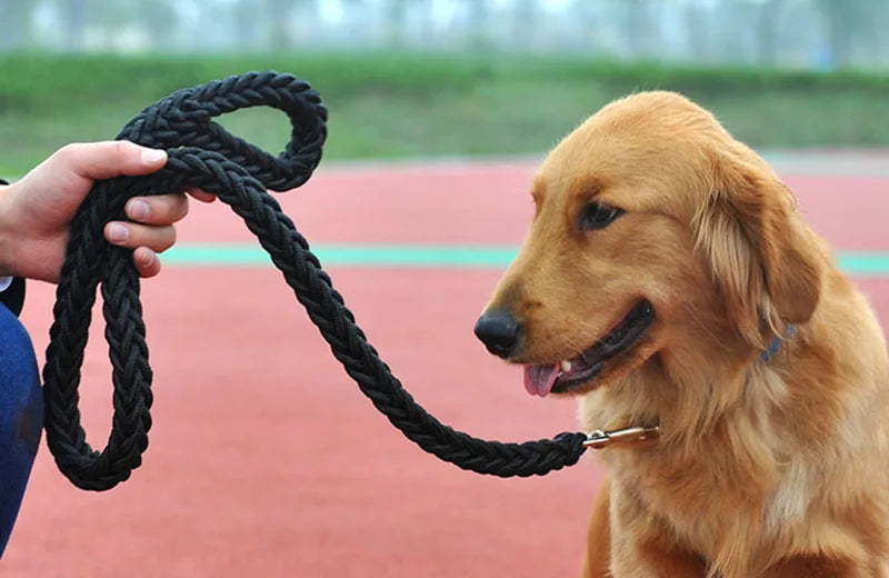 Nylon Dog Harness Leash For Medium Large Dogs Leads Pet Training Running Walking Safety Mountain Climb Dog Leashes Ropes supply