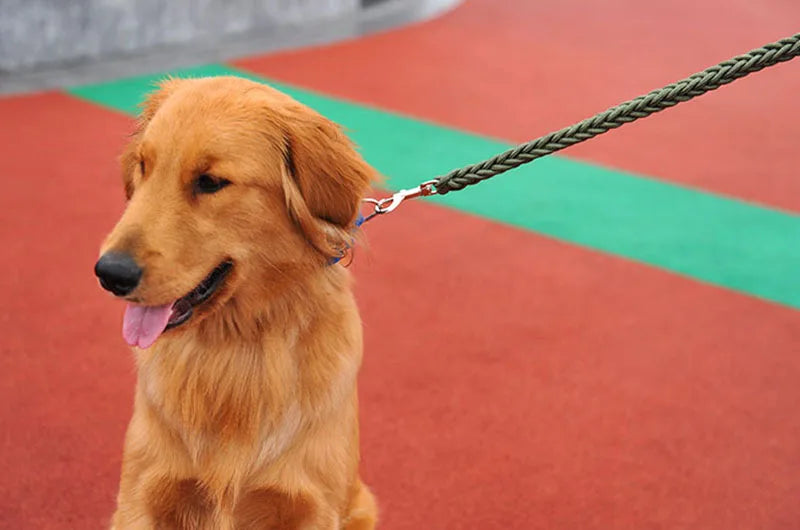 Nylon Dog Harness Leash For Medium Large Dogs Leads Pet Training Running Walking Safety Mountain Climb Dog Leashes Ropes supply